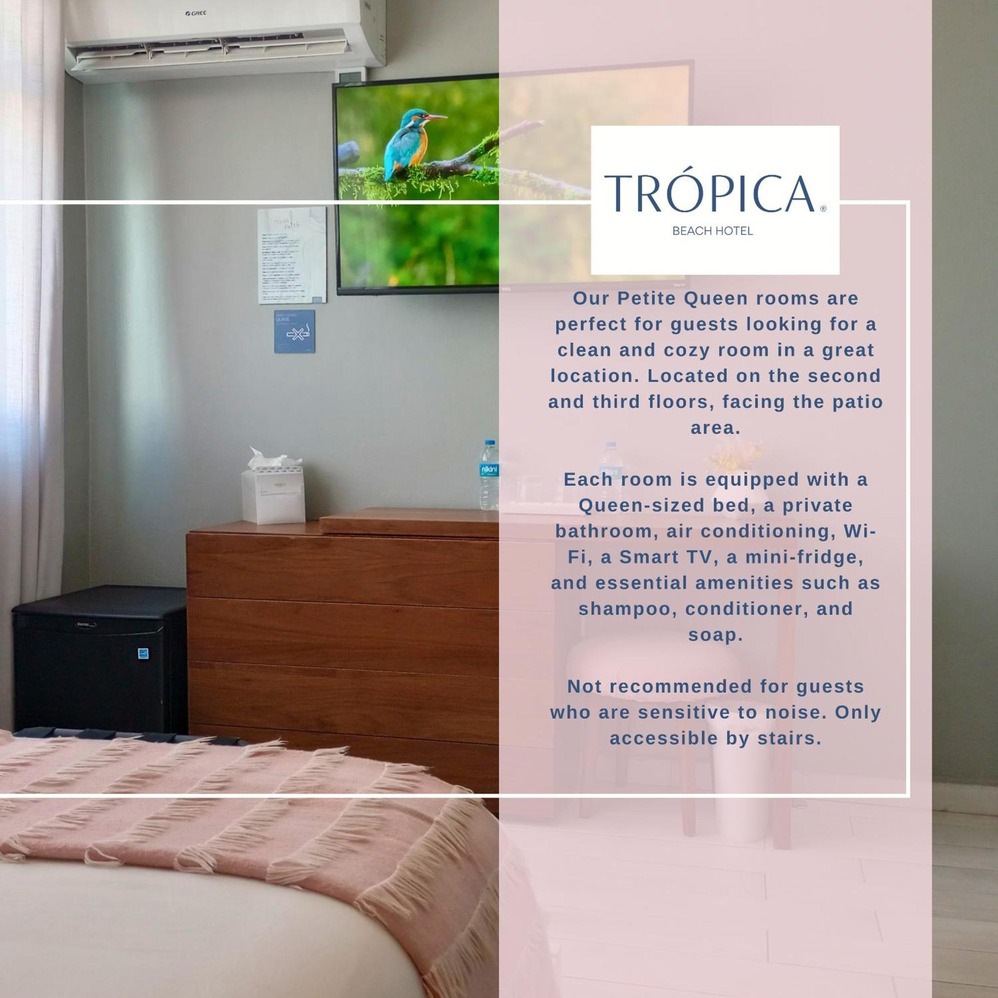 Tropica Beach Hotel (Adults Only) San Juan Ruang foto